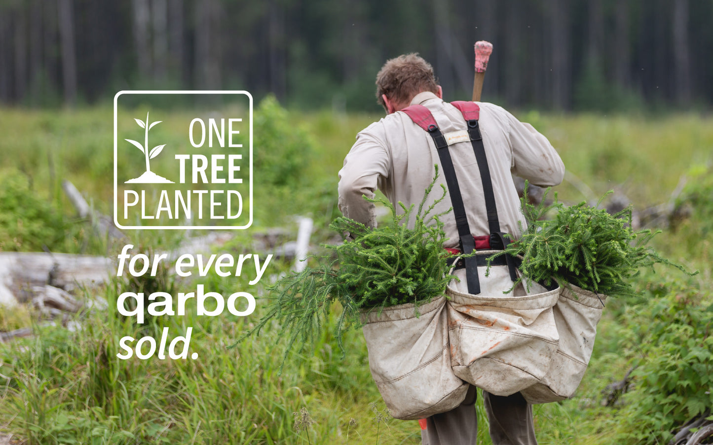 qarbo CLASSIC - Family bundle